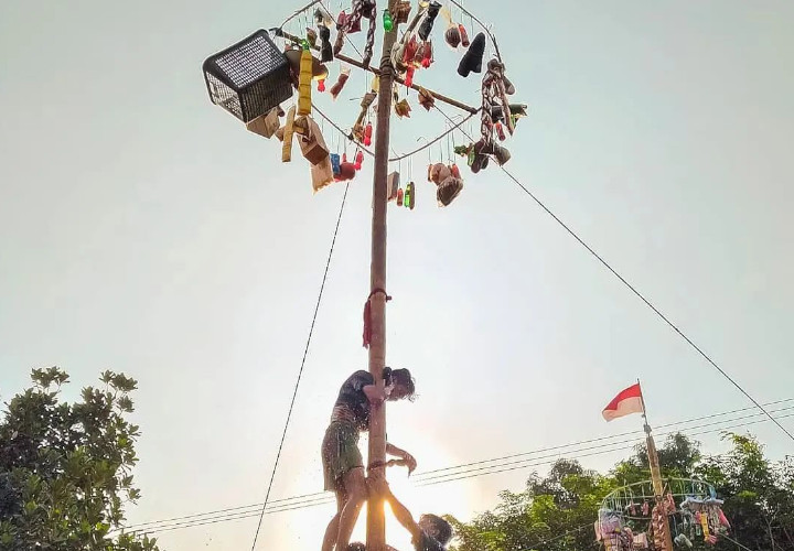 Panjat Pinang