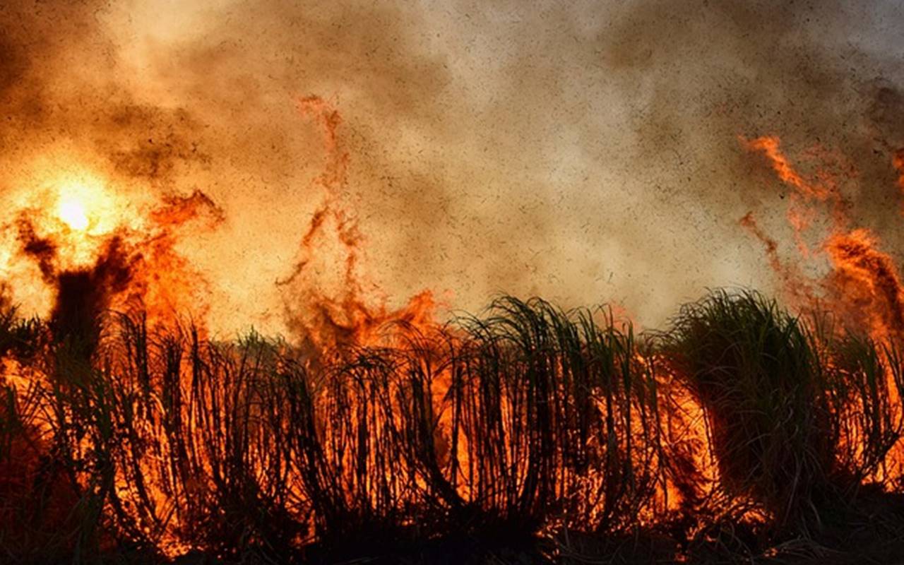 Panik-Loncat dari Kereta Saat Dikepung Kebakaran Hutan di Spanyol, 20 Penumpang Alami Luka Bakar