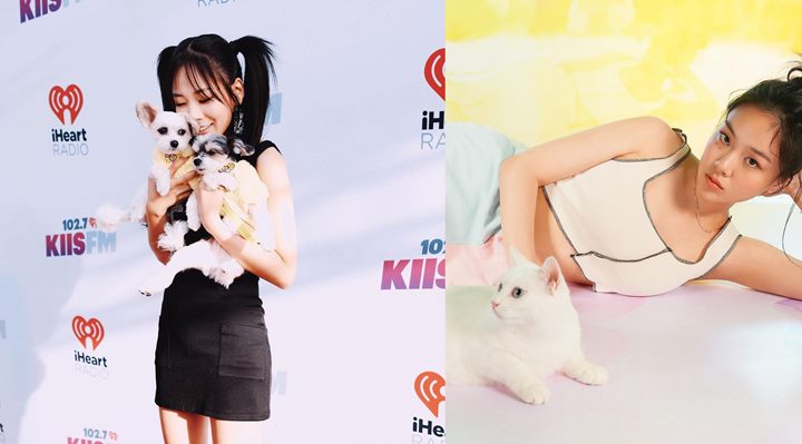 <i>Animal Lover</i>