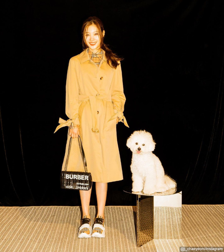 Bareng Anjing Kesayangan 