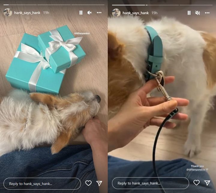 Anjing Kesayangan Rose BLACKPINK Dapat Kado Chuseok Mewah, Harganya Tak Main-main