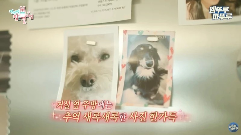 Netter Sukses Dibuat Gemas Usai Lihat Rumah Sooyoung Penuh dengan Bau-Bau Jung Kyung Ho