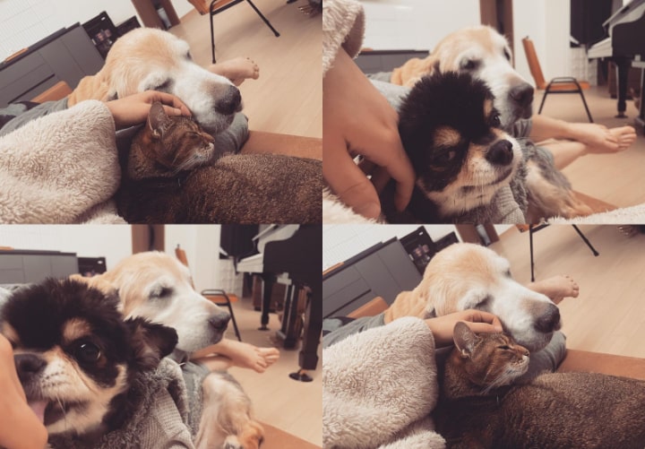 Kenangan Bermanja-manja