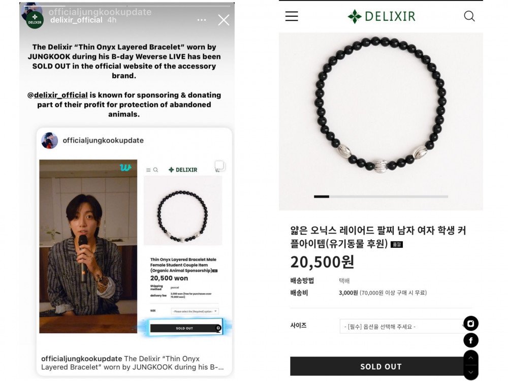 Jungkook Banjir Pujian Usai Bikin Gelang dari Merk yang Bantu Hewan Terlantar Ini Ludes Terjual