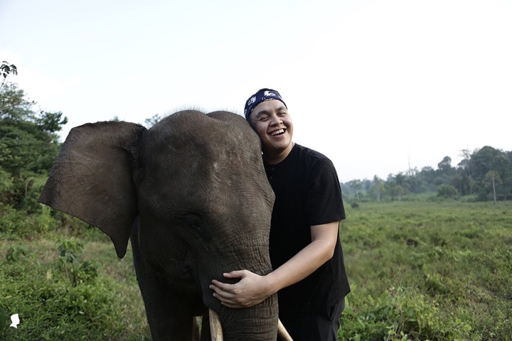 Makna Gajah Bagi Tulus