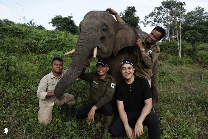 Hoki Gajah Bagi Tulus