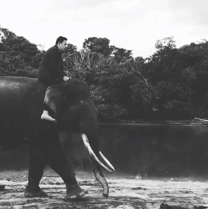 Momen Naiki Gajah