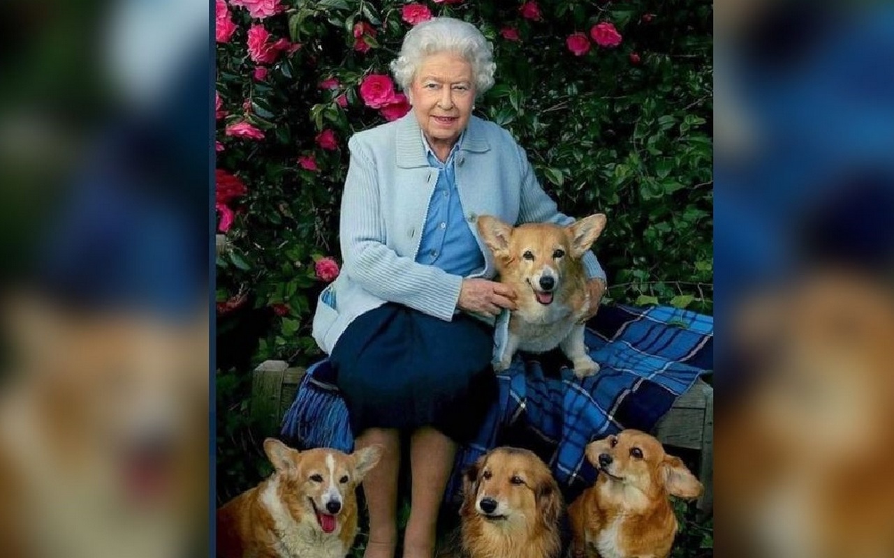 Setia, Anjing Corgi Milik Ratu Elizabeth II Ikut Tunggu Kedatangan Peti Jenazah di Kastel Windsor