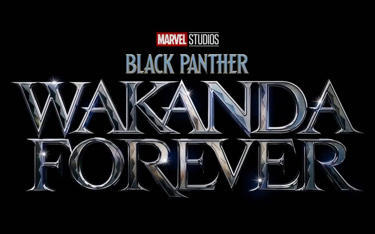 'Black Panther: Wakanda Forever' Terancam Batal Tayang di Bioskop Prancis