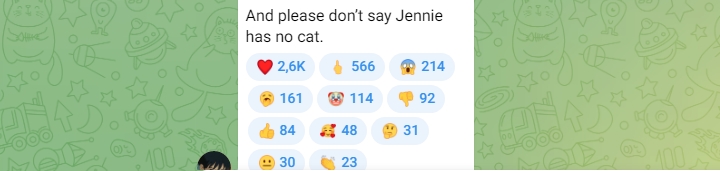 Potret Kucing Jennie BLACKPINK Tidur Bareng V BTS Terbukti Asli?