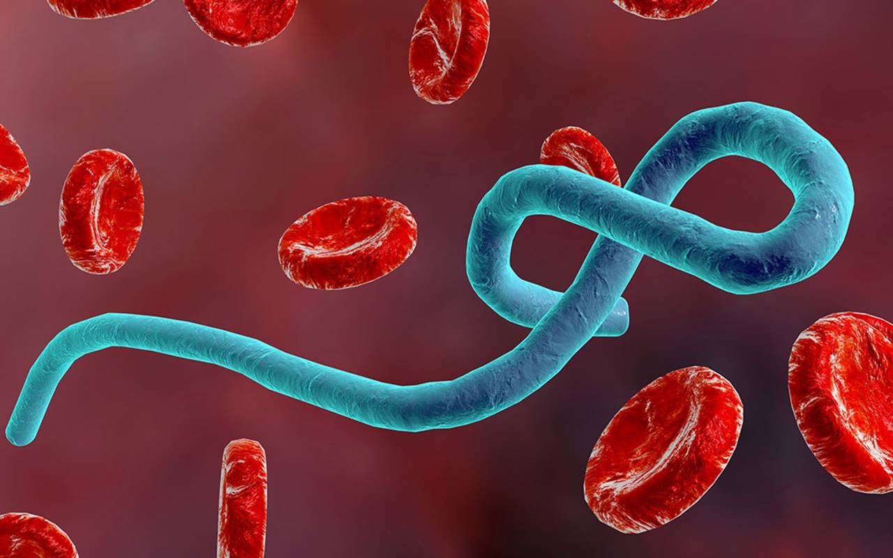 Wabah Ebola Tewaskan Dokter di Uganda