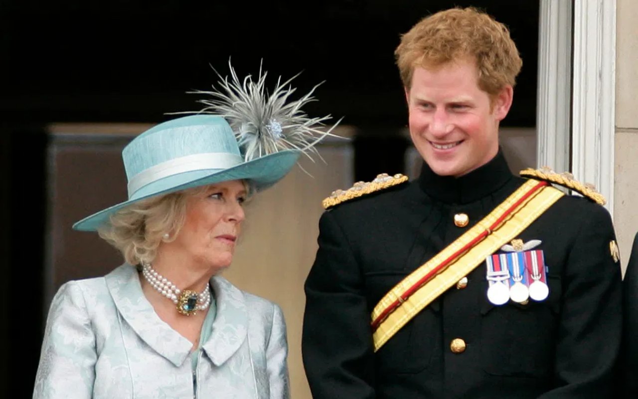 Pangeran Harry Disebut Katakan 'Hal-hal Jahat' Soal Camilla