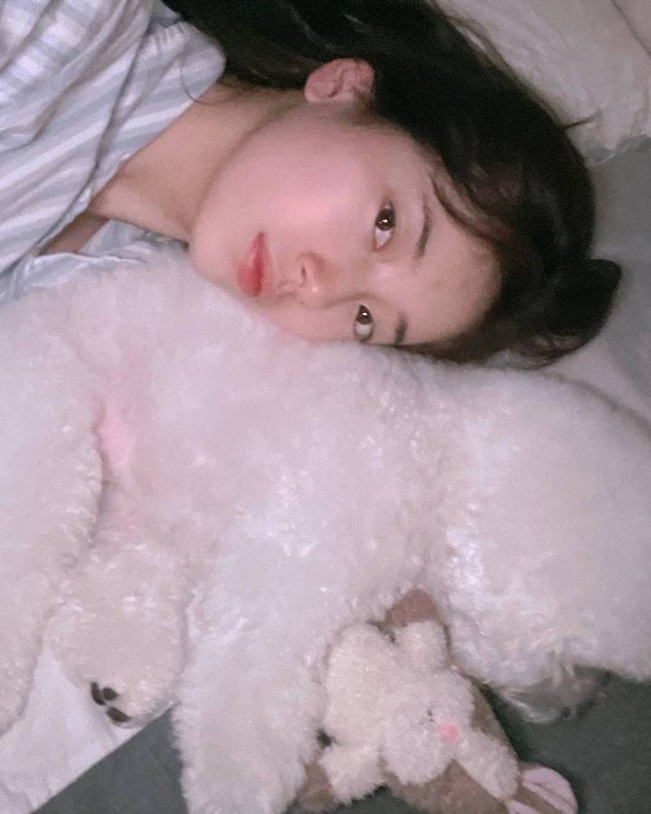 Bareng Anjing Kesayangan