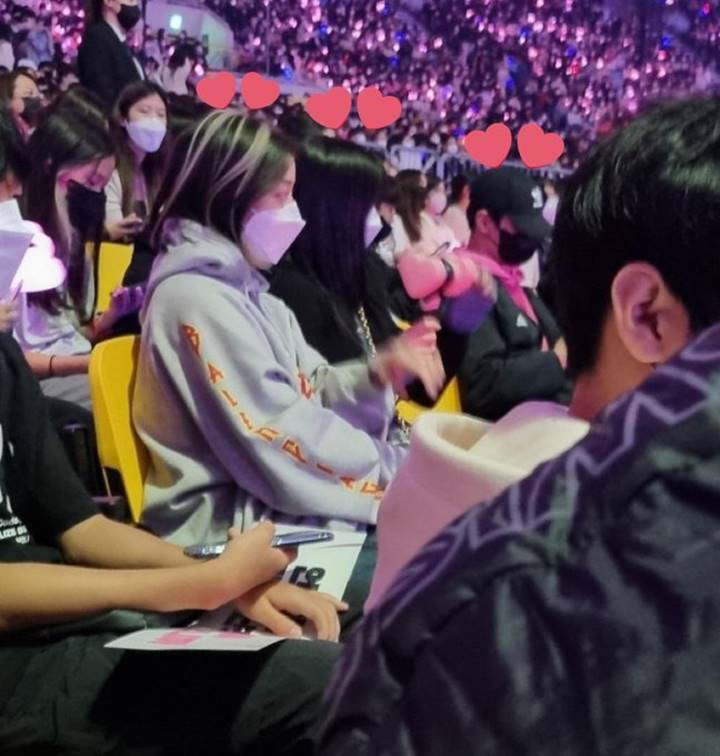 Park Bo Gum Terciduk Ikut Hadiri Konser BLACKPINK