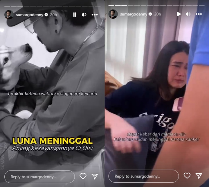 Denny Sumargo Bagikan Kabar Duka, Istri Nangis Sesenggukan Tak Percaya