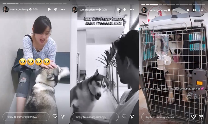 Denny Sumargo Bagikan Kabar Duka, Istri Nangis Sesenggukan Tak Percaya