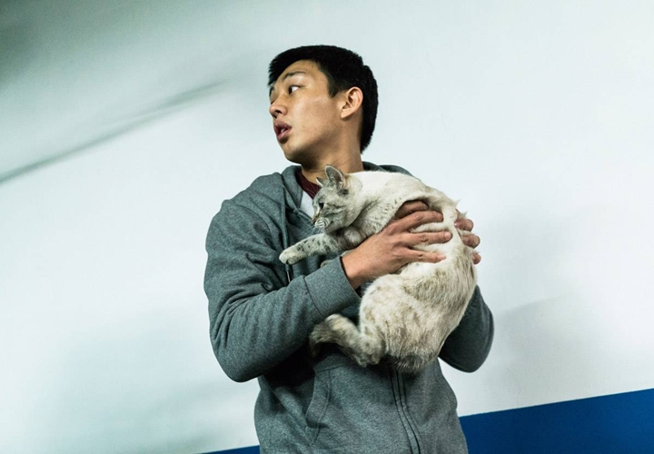Perankan Pecinta Kucing