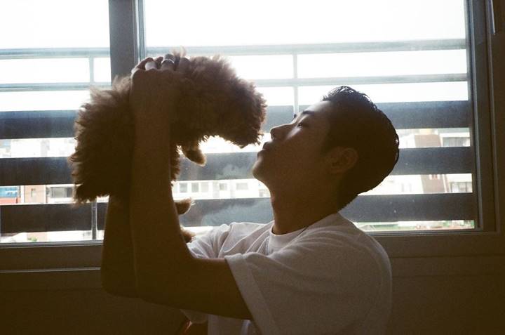 Pecinta Anjing