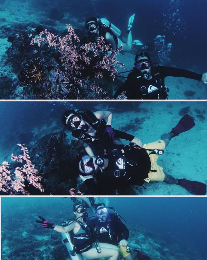 <i>Diving</i>