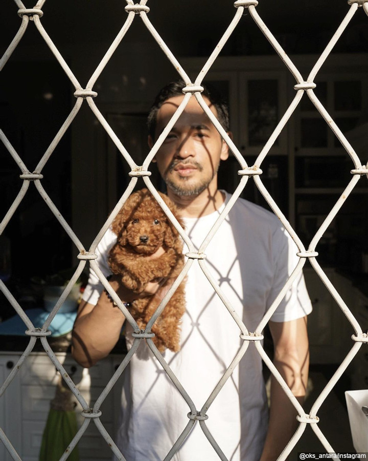 <i>Animal Lover</i>