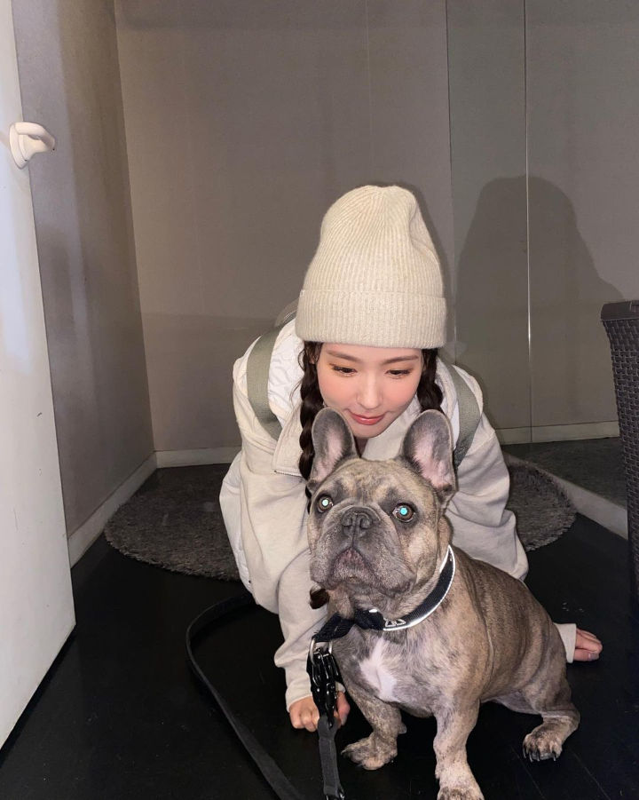 Gak Takut Sama French Bulldog