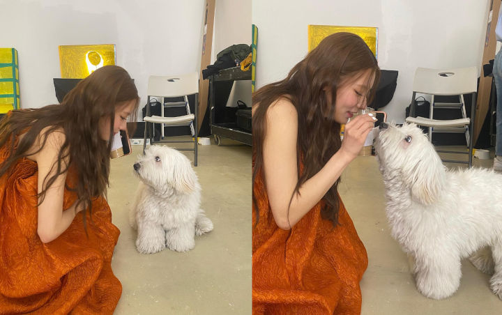 <i>Lovey Dovey</i>