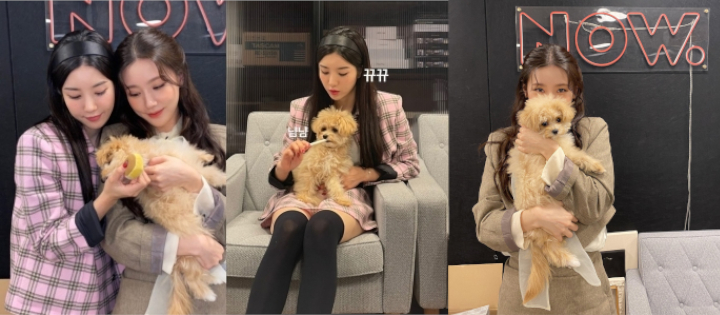 Bareng Anjing Milik Bestie