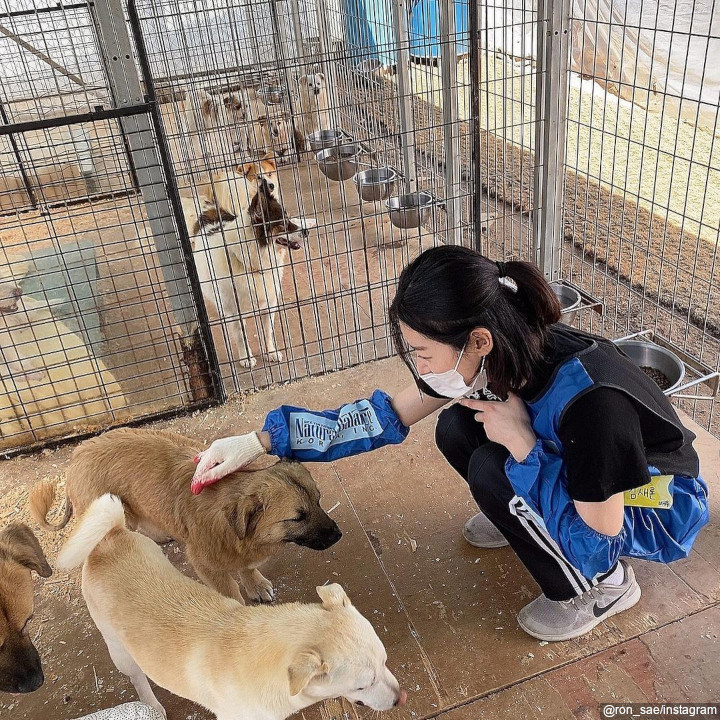 Kunjungi <i>Animal Shelter</i>