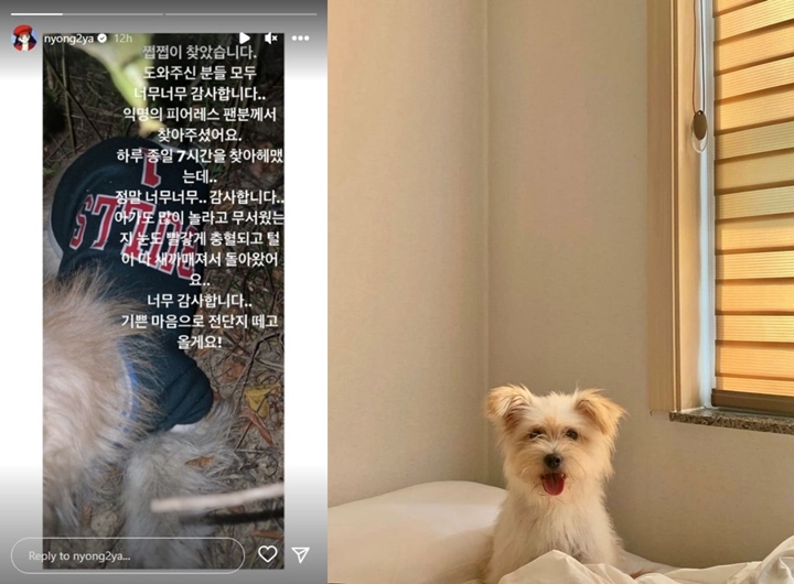 Minyoung Brave Girls Temukan Anjingnya Yang Hilang Berkat Bantuan Fans