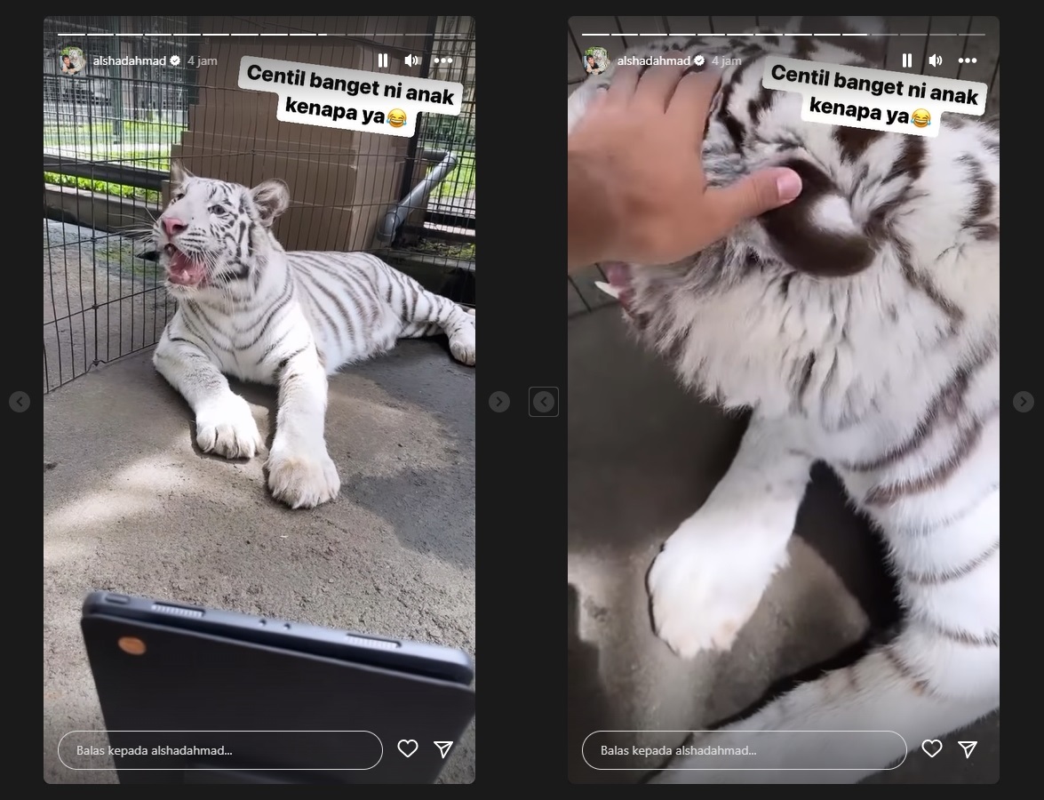 Alshad Ahmad Sebut Selen Centil Saat Video Call bareng Tiara Andini