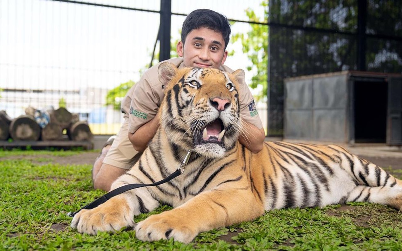 Alshad Ahmad Curhat Perasaan Campur Aduk Gara-gara Harimau Melahirkan