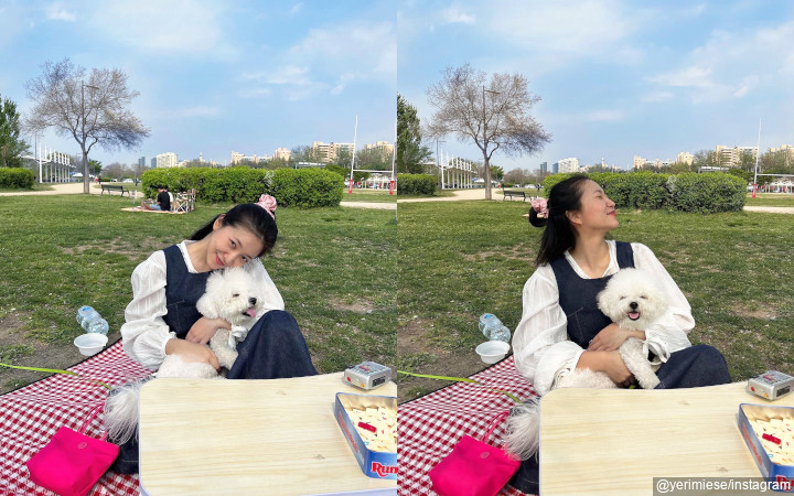 Piknik Ala Yeri