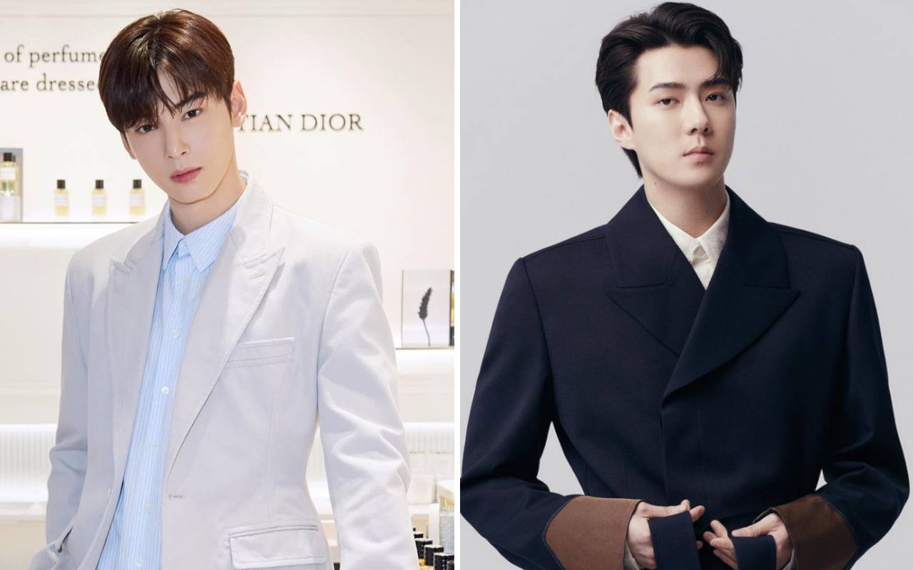 Pangeran Dior, Cha Eun Woo ASTRO & Sehun EXO Tampilkan Vibes Fashion Airport Berkebalikan