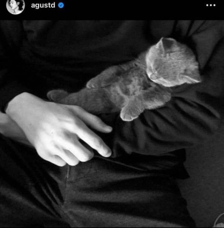 Suga BTS Diduga Bapak Anabul, Akun IG Diserbu Gara-gara \'Postingan Misterius\'