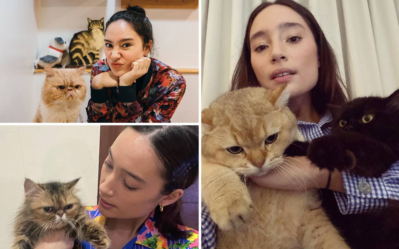 Tatjana Saphira Santuy Wajah Breakout, Intip 10 Potret Gemesnya Bareng Kucing