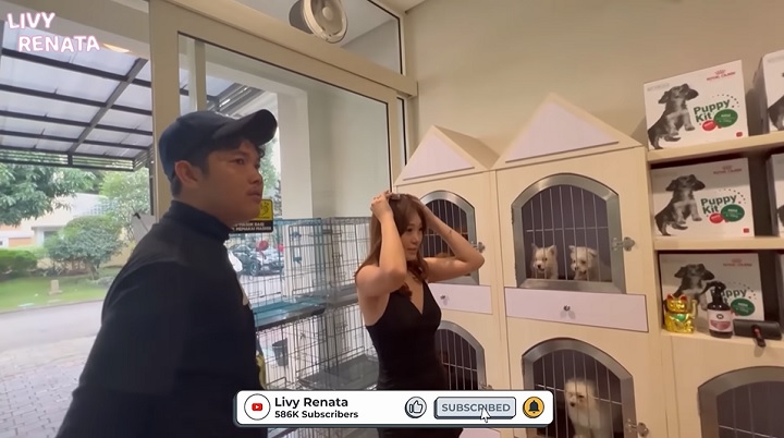 Beli Puppy