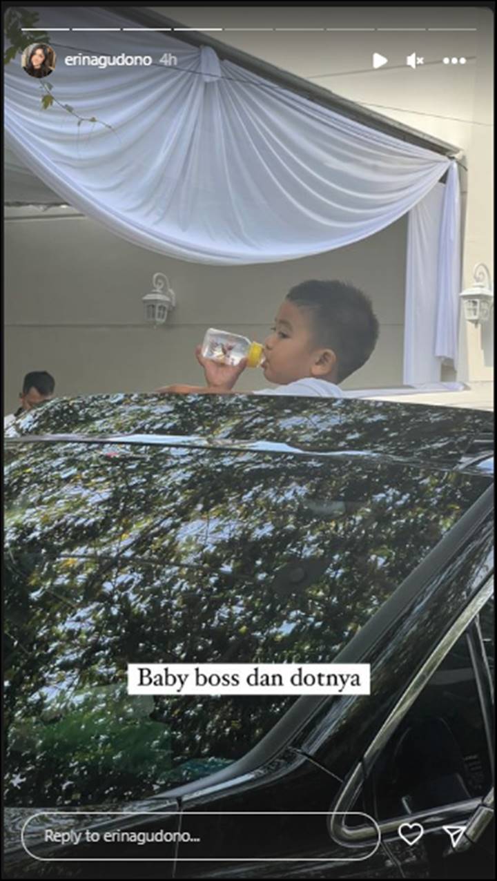 'Baby Boss dan Dotnya'
