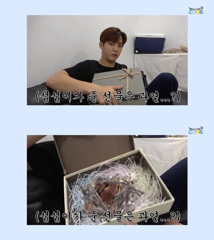 Minhyuk BTOB - Sarang Burung 