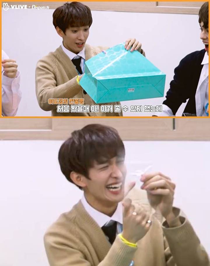DK Seventeen - Kapas Cotton Bud