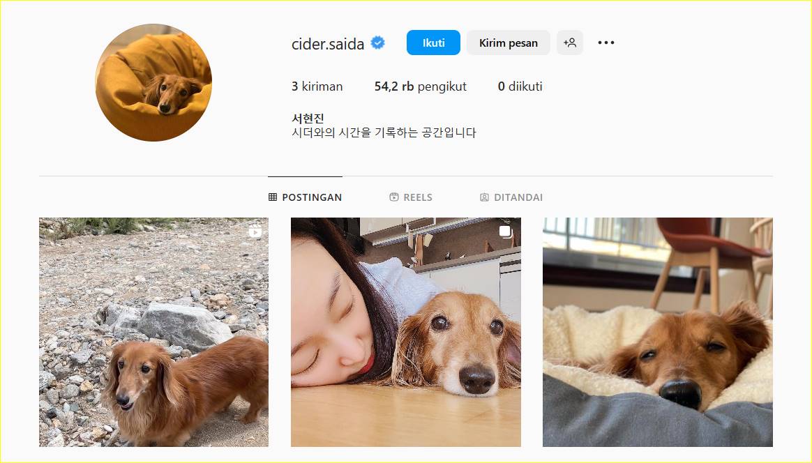 Seo Hyun Jin Akhirnya Buka Instagram, Dipersembahkan Untuk Si Tersayang