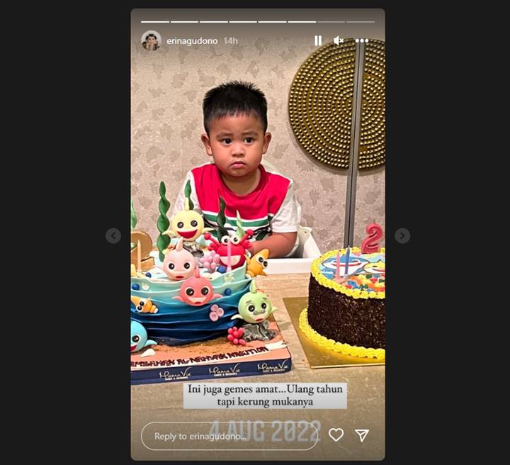 Erina Gudono Spill Foto Lama Nahyan Saat Ultah, Soroti Ekspresinya