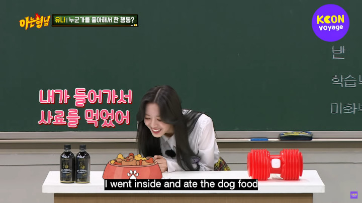 Pernah Makan Makanan Anjing