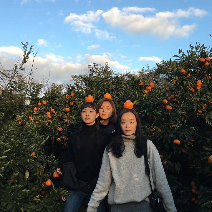 Ke Kebun Jeruk Hallim