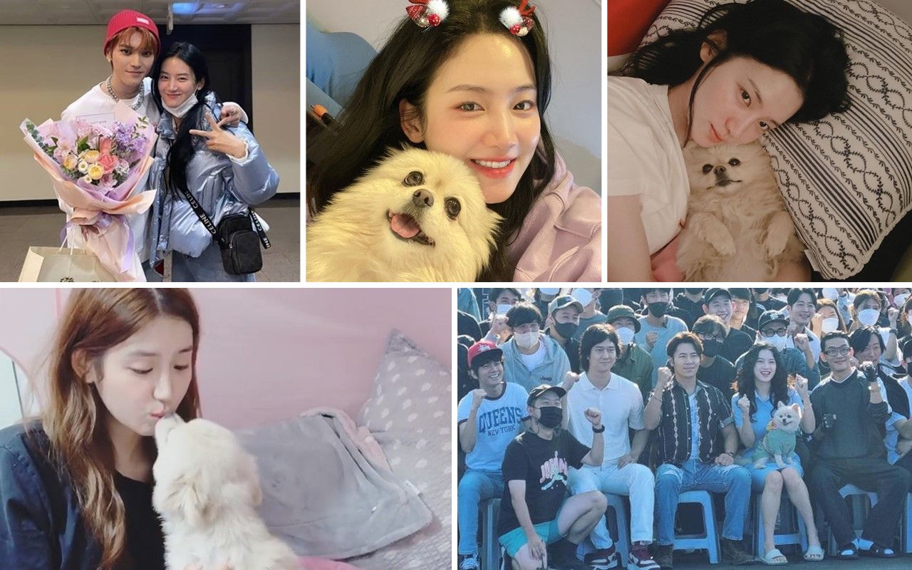 Bantah Isu Kencani Taeyong NCT, 10 Potret Gemes Park Ju Hyun Bareng Anjing Kesayangan