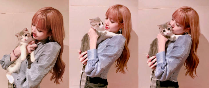 Leo Yang Super Gemes