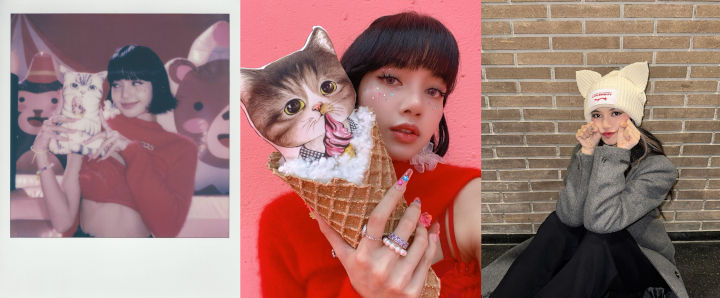 Cat Lover Garis Keras