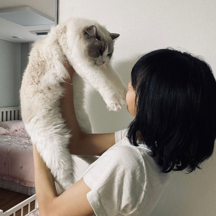 Quality Time dengan Kucing
