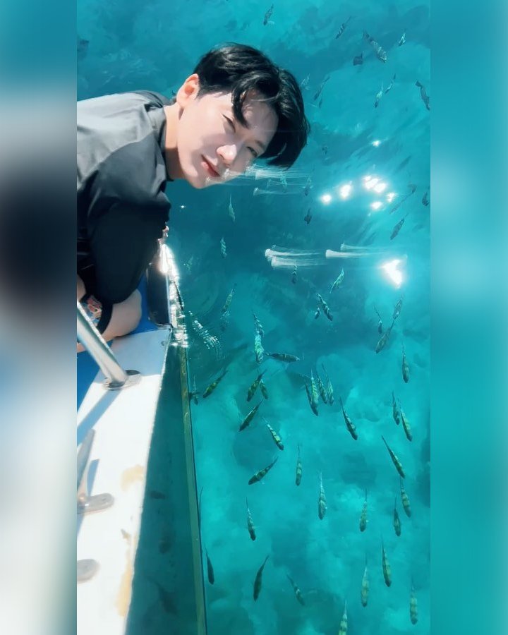Lihat Ikan