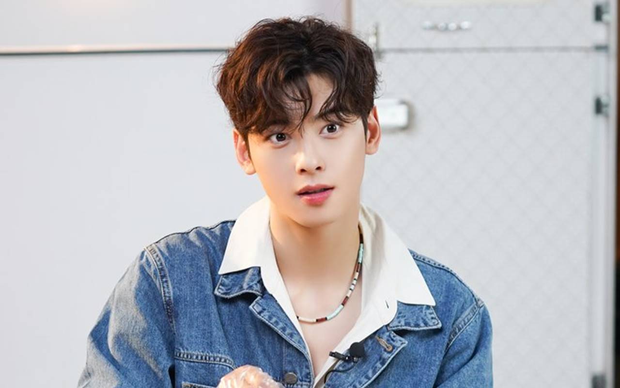 Alasan Visual Cha Eun Woo ASTRO Tak Tergantikan Ramai Dibahas Knetz