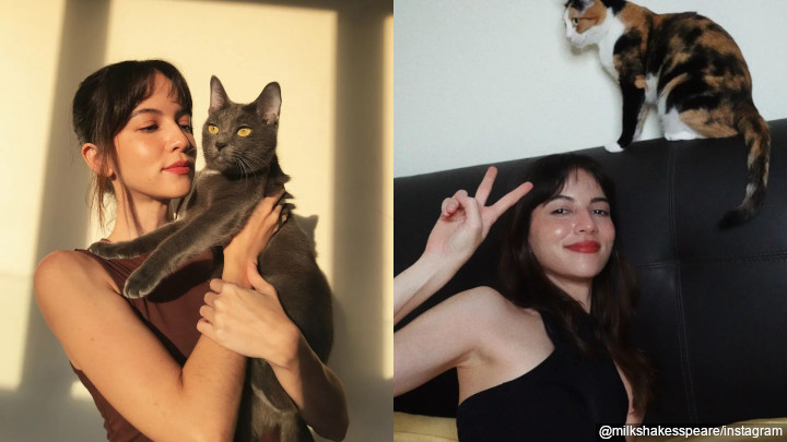 Pecinta Kucing